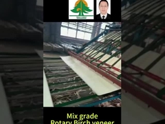 Volledige grootte van draaibare berkfolie dikte 0,5 mm grootte 2600*1300 mm voor mixkwaliteit