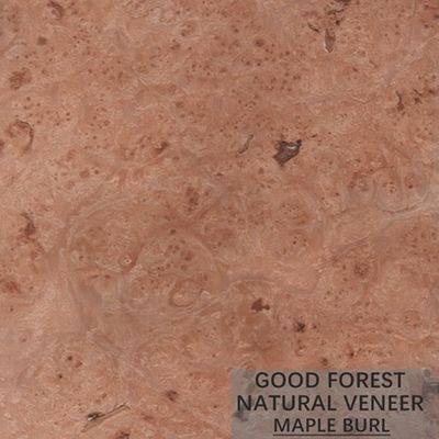 Van de het Oogesdoorn van hotelvogels Houten het Vernisje Kunstmatige speciaal Natuurlijk
