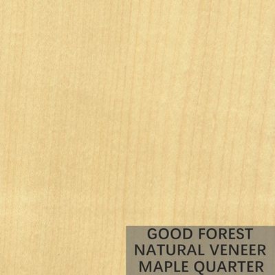 Van de het Oogesdoorn van hotelvogels Houten het Vernisje Kunstmatige speciaal Natuurlijk