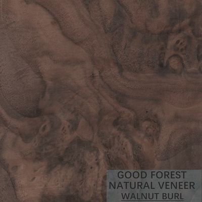 Kwart van het Vernisjebladen van de korrelbifurcatie sneed het Natuurlijke Houten Amerikaanse Okkernoot