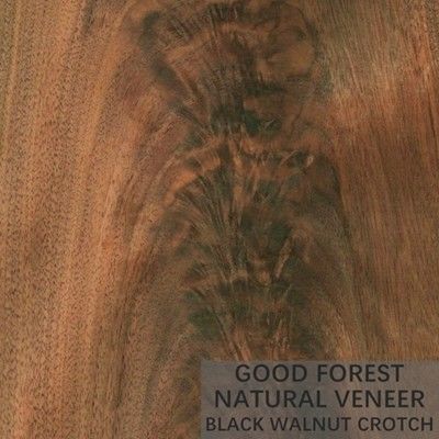 Kwart van het Vernisjebladen van de korrelbifurcatie sneed het Natuurlijke Houten Amerikaanse Okkernoot