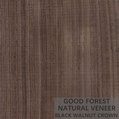 Kwart van het Vernisjebladen van de korrelbifurcatie sneed het Natuurlijke Houten Amerikaanse Okkernoot