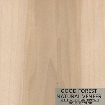 De Uitstekende Dubbele Kleur van Mappatulip natural wood veneer boxwood