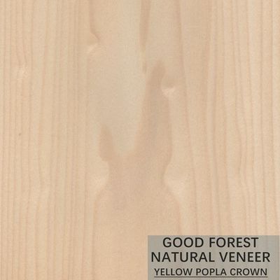 De Uitstekende Dubbele Kleur van Mappatulip natural wood veneer boxwood