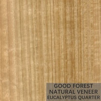 Het natuurlijke Triplex van het de Korrelvernisje van het Eucalyptus Houten Vernisje Populaire Verticale