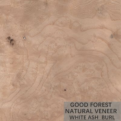 Natuurlijke die ASH Wood Veneer Sheets Special-Korrel voor Deuren wordt aangepast