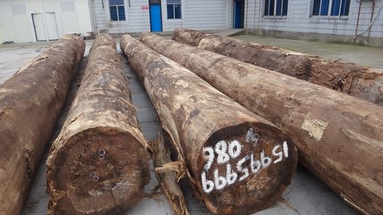 Gelamineerde Santos Rosewood Hout Veneer Kroon Korrel Dikte kan worden aangepast 0,15-1,8 mm Voor Voor Kasten Gezicht