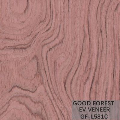 Gebouwde Houten van de de Kroonbesnoeiing van Vernisjebubinga Houten Vernisje Gesneden de Besnoeiingstechnieken