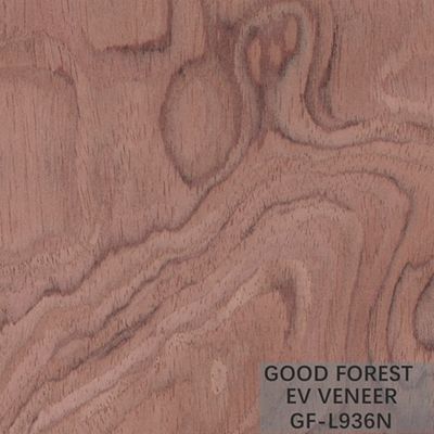 Gebouwde Houten van de de Kroonbesnoeiing van Vernisjebubinga Houten Vernisje Gesneden de Besnoeiingstechnieken