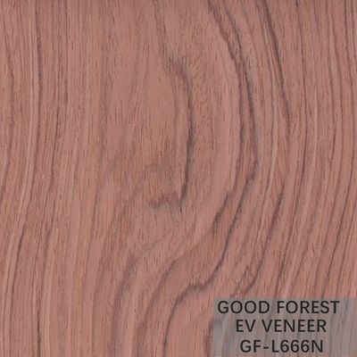 Gebouwde Houten van de de Kroonbesnoeiing van Vernisjebubinga Houten Vernisje Gesneden de Besnoeiingstechnieken