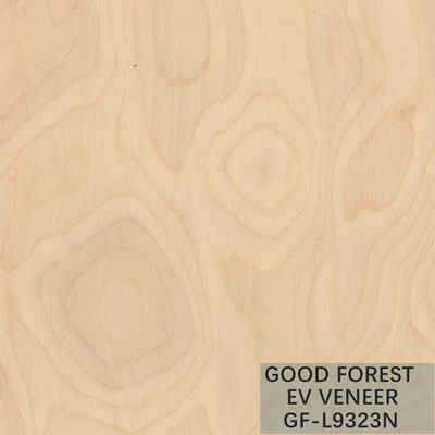 De gebouwde Houten van het de Wortel Houten Vernisje van de Vernisjeboom Natuurlijke/Geverfte Kleur