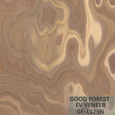 De gebouwde Houten van het de Wortel Houten Vernisje van de Vernisjeboom Natuurlijke/Geverfte Kleur