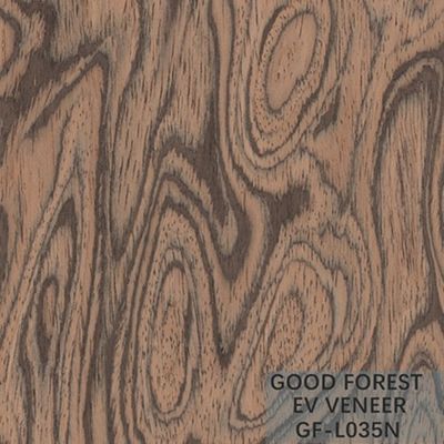 De gebouwde Houten van het de Wortel Houten Vernisje van de Vernisjeboom Natuurlijke/Geverfte Kleur