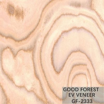 De gebouwde Houten Grootte van Burl Wood Veneer EV 2500*640 mm van de Vernisjeboom