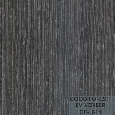 Hotel Gebouwd Houten Zwart Houten het Vernisjeblad van de Vernisjeabrikoos