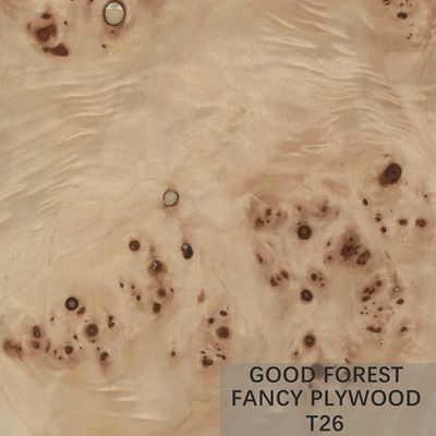 Het aangepaste Burl Veneer Plywood Board Fancy-Vernisje van het Wortelkanaal