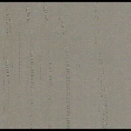 Het Substraatoppervlakten van de rekbaarheidspp Decoratieve Film met Misty Rain Grain