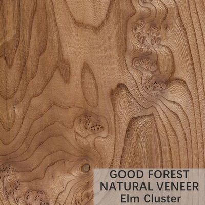 Korrel van de de Kroonbesnoeiing van het IEP verleent de Natuurlijke Houten Vernisje de Aangepaste Dienst