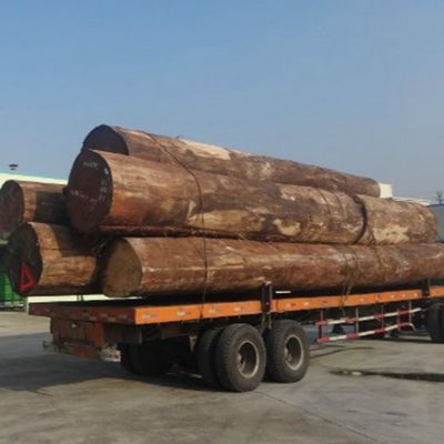 Witte Abrikoos Gebouwde Houten de Besnoeiingstechnieken van de Vernisjeh86c Plak voor Muur het Behandelen