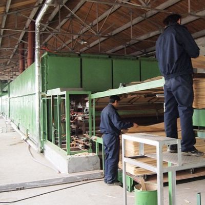 Witte Abrikoos Gebouwde Houten de Besnoeiingstechnieken van de Vernisjeh86c Plak voor Muur het Behandelen