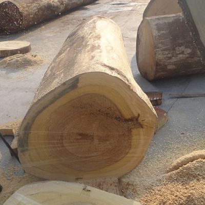 Recon Ash Wood Veneer Sheets Yellow Kleurenkwart met a wordt gesneden - H5061Q voor Deuren/Windws die