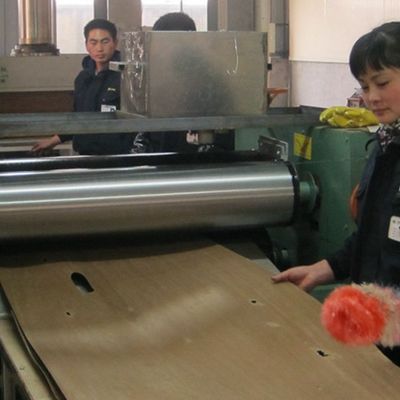 Opnieuw samengesteld Wit Ash Wood Veneer Sheets met a - X206-Kwartbesnoeiing voor Buitensporig Triplex