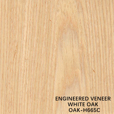 De witte Eiken Vlakke Besnoeiing van H665C stelde Houten Vernisje voor voor Kabinetsgezicht/Muur het Behandelen opnieuw samen