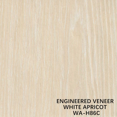 Witte Abrikoos Gebouwde Houten de Besnoeiingstechnieken van de Vernisjeh86c Plak voor Muur het Behandelen