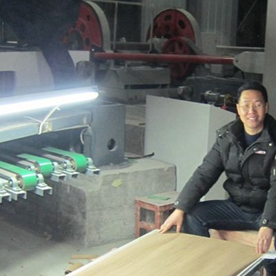 Fancy hout fineer Chinese Ash Manmade verlengde grootte 3100mm kan worden aangepast voor decoratie China Makes