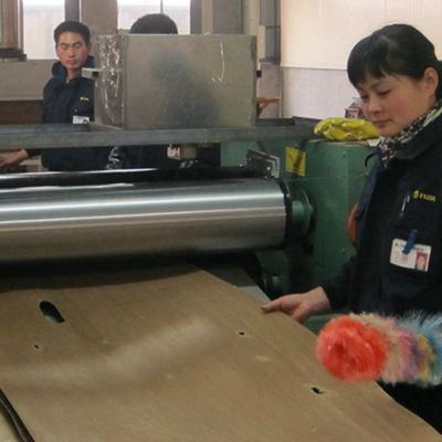Van de het Vernisjeokkernoot X937A Fineline van de kabinets de Luim Opnieuw samengestelde Lei Houten Speciale Ruwe Korrel van de Fabrikant Iso van China