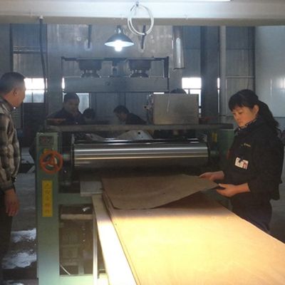 Hersteld composiet houten fineer rechte korrels 163S/168S/309S Voor binnendeuren