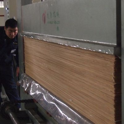 0,45 mm fineerplaat van technisch hout met zwarte parel BP-X8003 rechte nerf voor wandpaneel