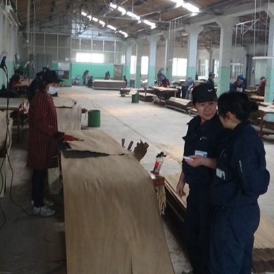 Fancy hout fineer Chinese Ash Manmade verlengde grootte 3100mm kan worden aangepast voor decoratie China Makes