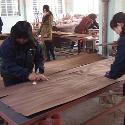PXM-L5.2N Kunstmatige houten fineer verlengde grootte 3100mm, aangepaste uitgebreide afmetingen, bulklevering voor productie van panelen