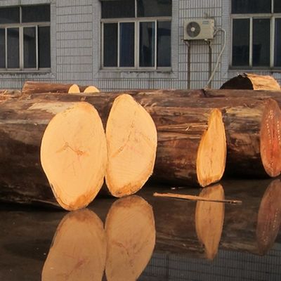Gepersonaliseerde Recon Elm Hout Finer Rechte Snijding En Kroon Snijding Voor Kabinet Gezicht Van 2500 * 640 mm