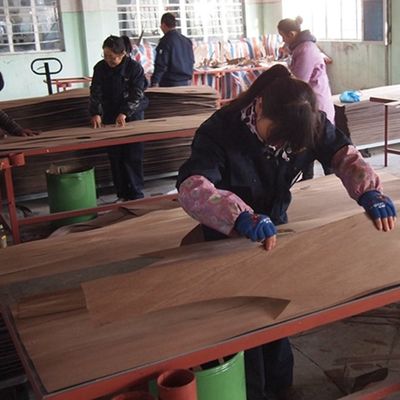 Grauwe vleugel 3100 mm houten fineer voor deurpanelen GW-X0133