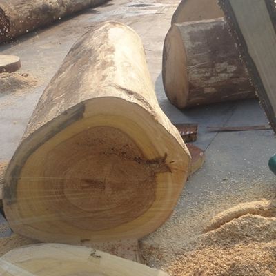 Smoking Sapele Pommele Engineered Oak Veneer Dikte 0,18-0,6 mm Voor wandpaneel