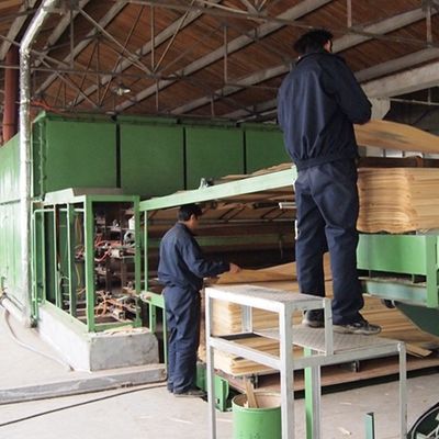 Grauwe vleugel 3100 mm houten fineer voor deurpanelen GW-X0133