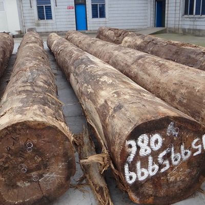Hersteld decoratief ingenieurswerk Wit eiken hout veneer 28S rechtkorrels
