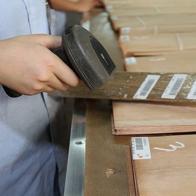 Geschoren Achter Natuurlijk Mahonie Houten Vernisje 0.5mm Speciale Bifurcatie voor Hoteldecoratie