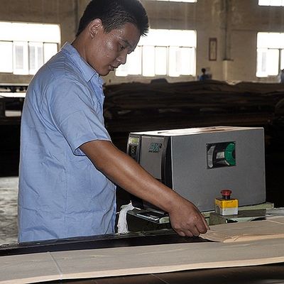 Geschoren Achter Natuurlijk Mahonie Houten Vernisje 0.5mm Speciale Bifurcatie voor Hoteldecoratie