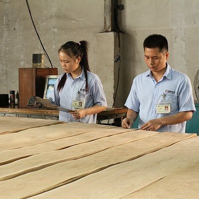 Kunstmatige houten fineer van gouden boom ring 0.30mm G.TR-X3388 Slice Cut voor kabinet gezicht