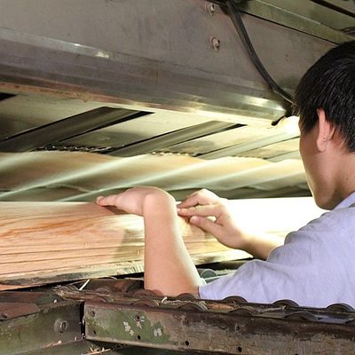 OEM het Natuurlijke Mahonie Houten Vernisje stelde rechtstreeks Korrel 25003100MM voor Deurhuid voor