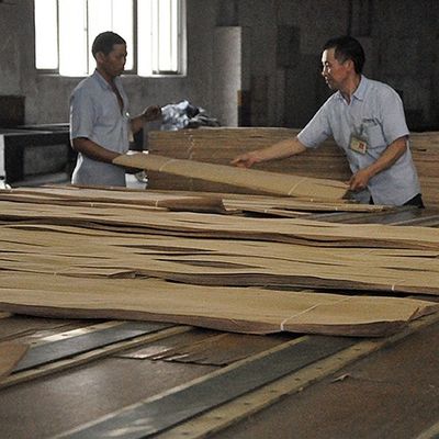 Kunstmatige houten fineer van gouden boom ring 0.30mm G.TR-X3388 Slice Cut voor kabinet gezicht