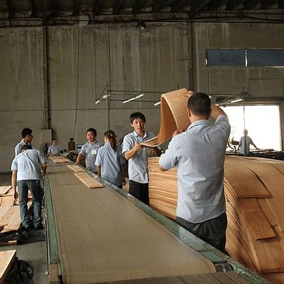 Voeg elegantie toe aan de ruimte Maple veneer panelen Flocculente schaduwen Textuur manifestaties