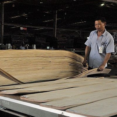 Amerikaanse witte eiken massief houten plaat recht gesneden voor chique paneel en geverfde fineer 0,45 mm dikte