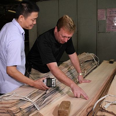 0.5mm Dikte Natuurlijk Tamo Ash Veneer For Car Interior en Muzikaal Instrument