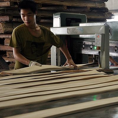 Kunstmatige houten fineer van gouden boom ring 0.30mm G.TR-X3388 Slice Cut voor kabinet gezicht