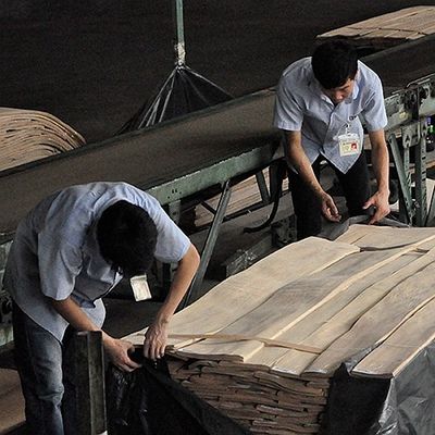 FSC Natuurlijk Wit Ash Burl Veneer Spiral Pattern Grain een Rang voor dikte 0.50.55mm van de Hoteldecoratie