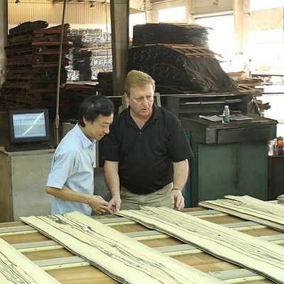 Geschoren Achter Natuurlijk Mahonie Houten Vernisje 0.5mm Speciale Bifurcatie voor Hoteldecoratie